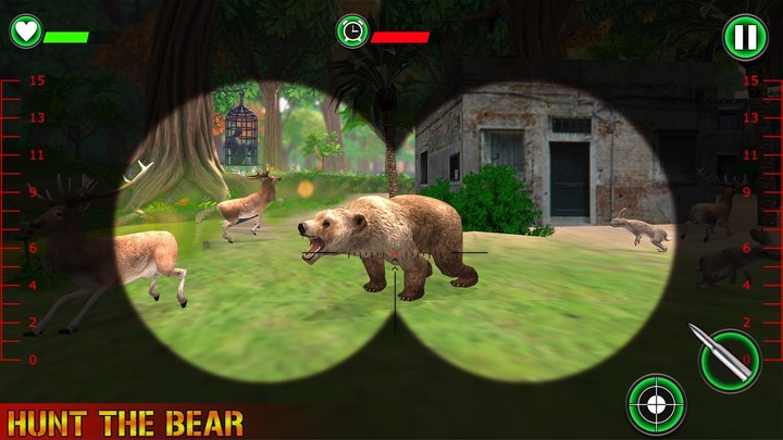 Jungle Animals Hunting Games : Real Shooting Game