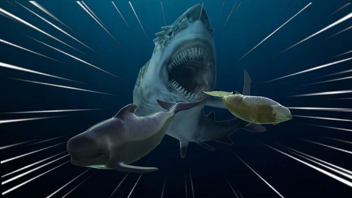 Monster Sharks : Shark Games‏