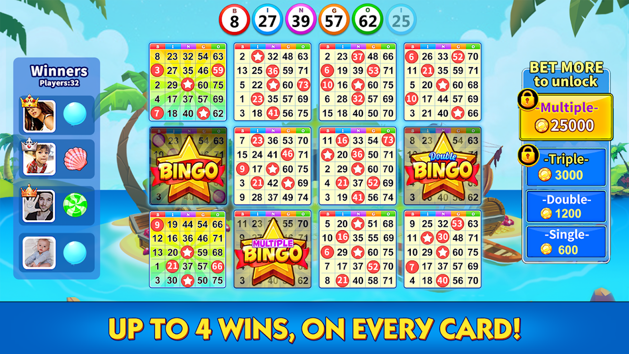 Bingo Play Lucky Bingo Games_playmods.net