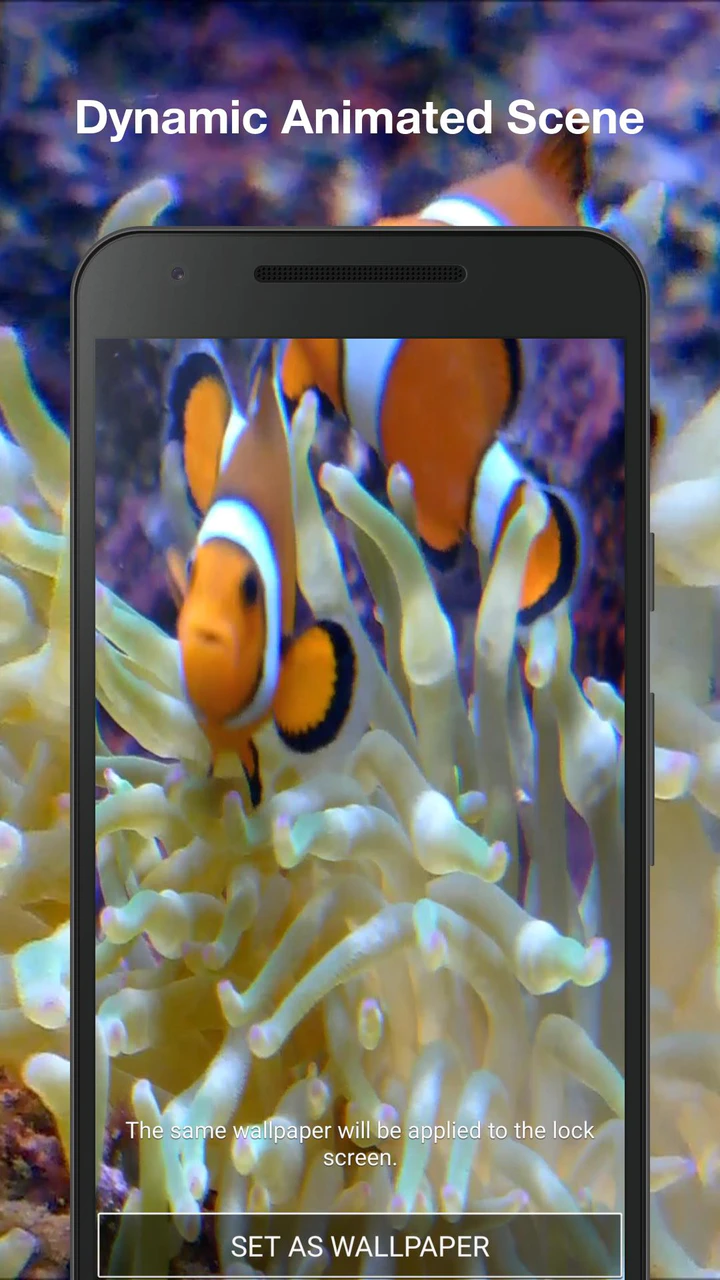 Ocean Fish Live Wallpaper Animated Aquarium  Free download and software  reviews  CNET Download