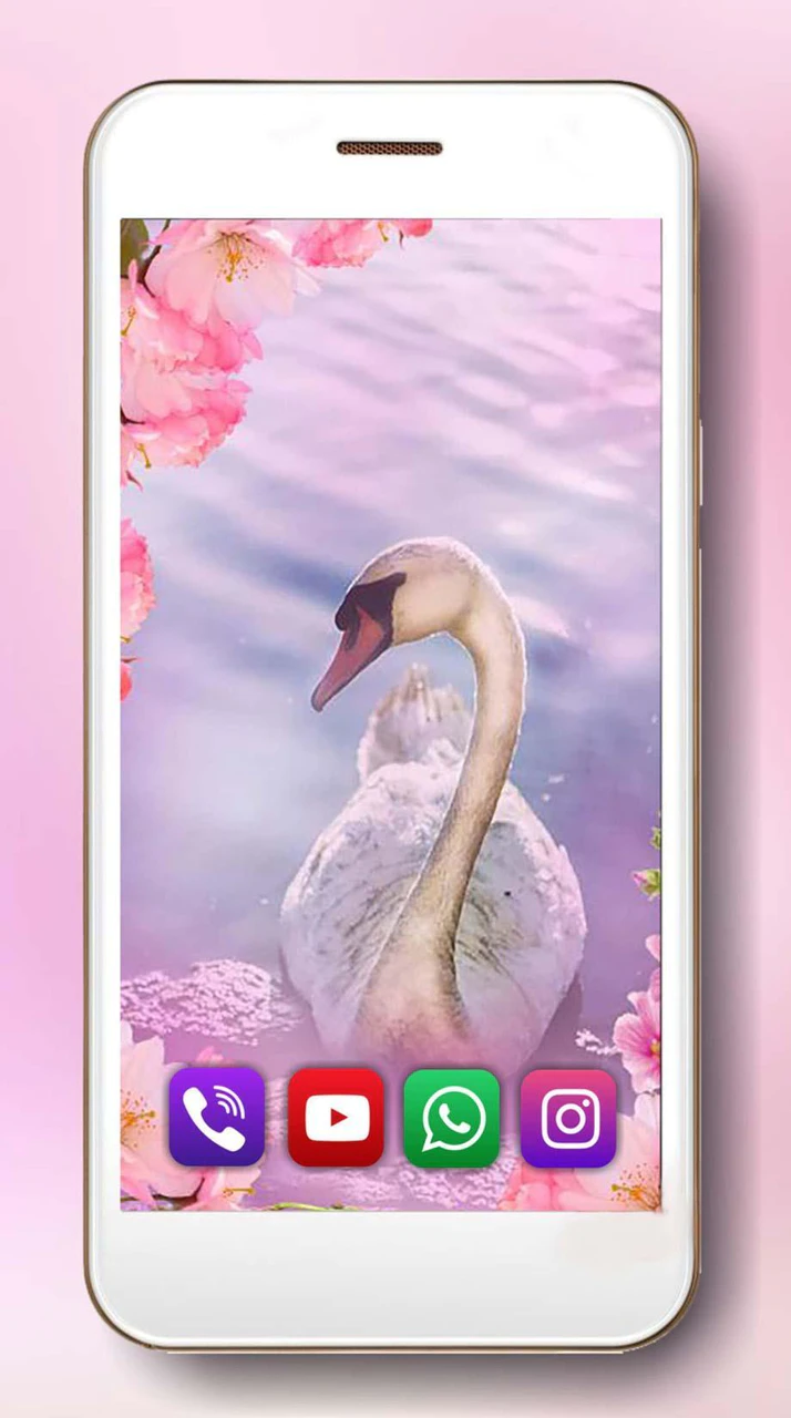 Descargar Primavera Cisnes Fondos Pantalla Animados MOD APK para Android Descargar Primavera Cisnes Fondos Pantalla Animados MOD APK para Android