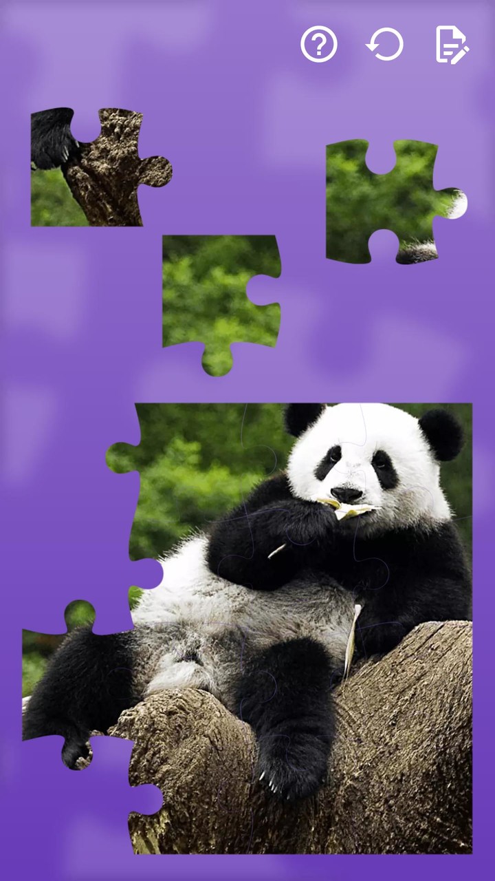Jigsaw Puzzles Cars & Animals‏