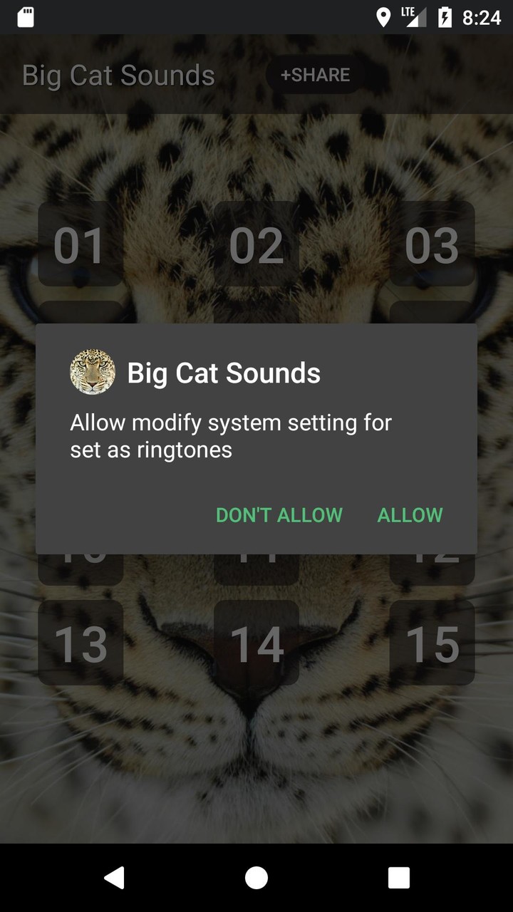 Big Cat Sounds Ảnh chụp màn hình trò chơi