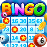 Download Bingo Fever Game APK v1.0.3 For Android