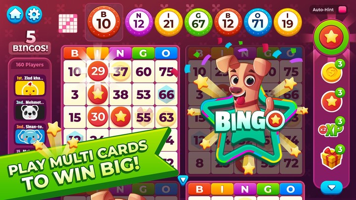 Bingo My Home_playmod.games