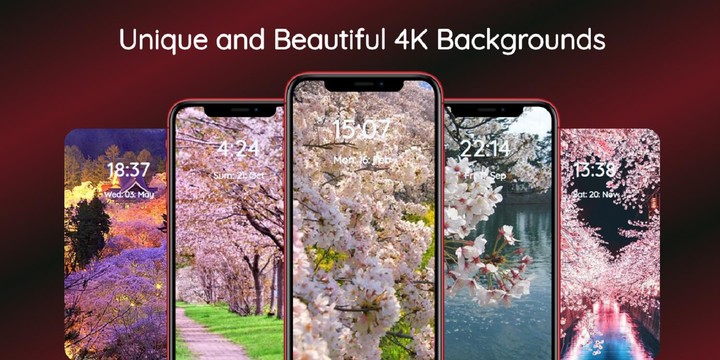 Sakura Wallpaper_modkill.com