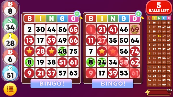 Bingo Classic Game - Offline Free_playmod.games