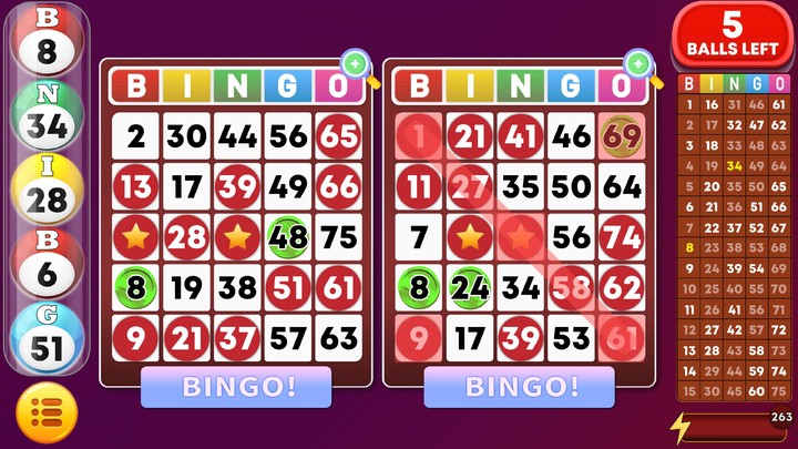 Bingo Classic Game - Offline Free_modkill.com