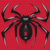 Spider Solitaire: Card Games_playmods.games